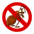 No Flea Zone